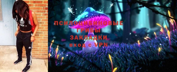 2c-b Осинники