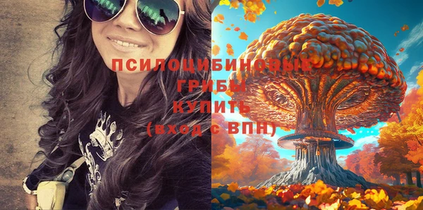 2c-b Осинники